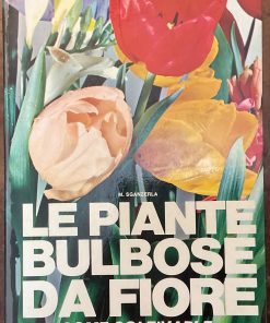 Le piante bulbose da fiore, come coltivarle